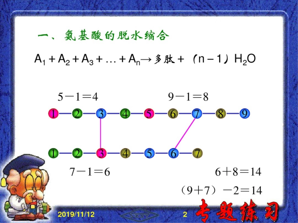 高三生物课件：高三复习专题-生物学中的数学计算_第2页