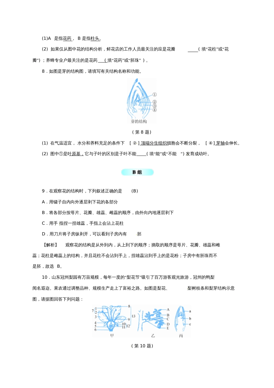 七年级科学下册1.4植物的一生(3)同步练习(新版)浙教版_第3页