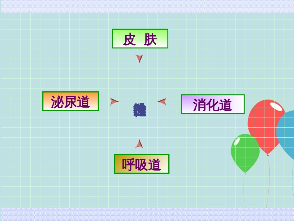 排尿护理[共68页]_第2页