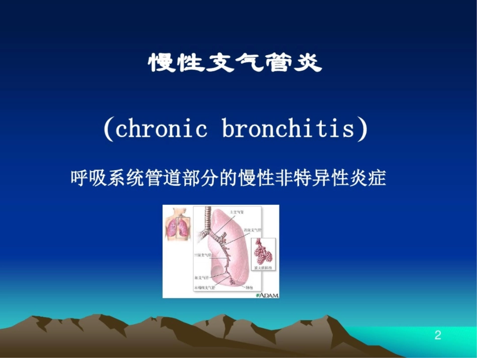 慢性阻塞性肺疾病COPD_第2页