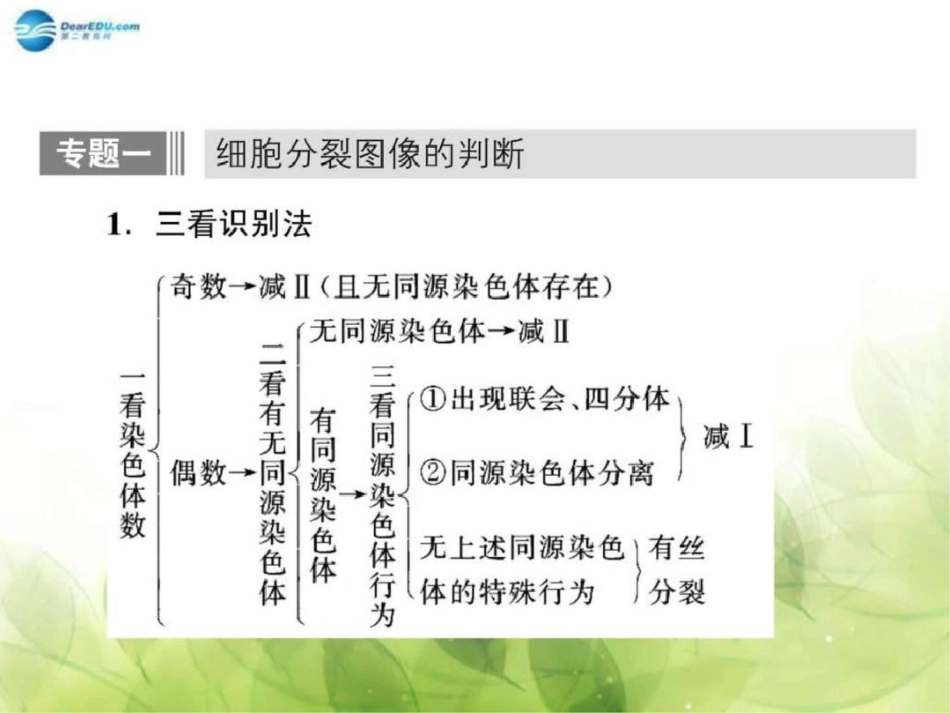 2019-2019学年高中生物第2章基因和染色体的关系单_第3页