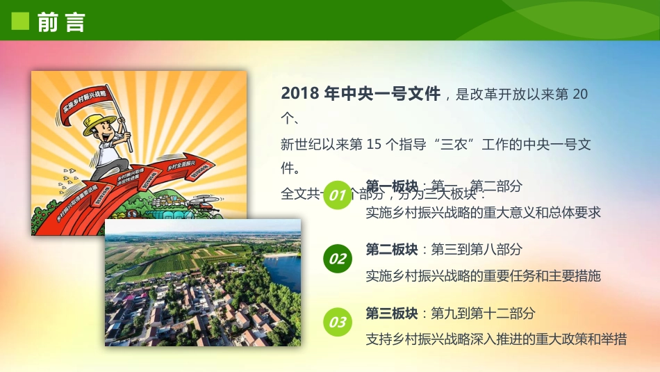 【乡村振兴模板】学习贯彻中央一号文件精神大力实施乡村振兴战略PPT模板_第3页