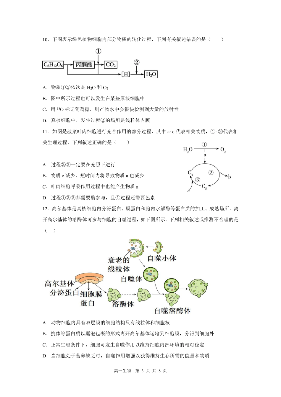 2023-2024学年江苏省五市十一校高一上生物12月月考试卷（含答案）_第3页