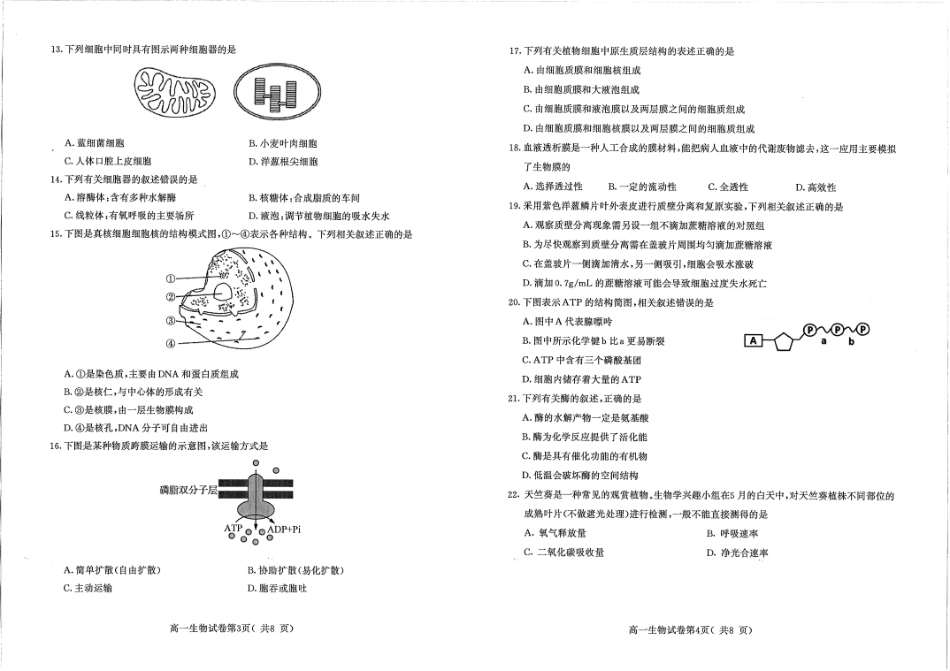 江苏省南京市2023-2024学年高一上学期期末学情调研测试生物试卷_第2页