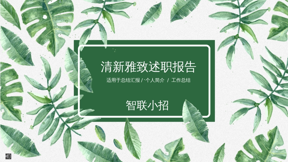 【智联小招】丨ins清新雅致工作汇报_第1页