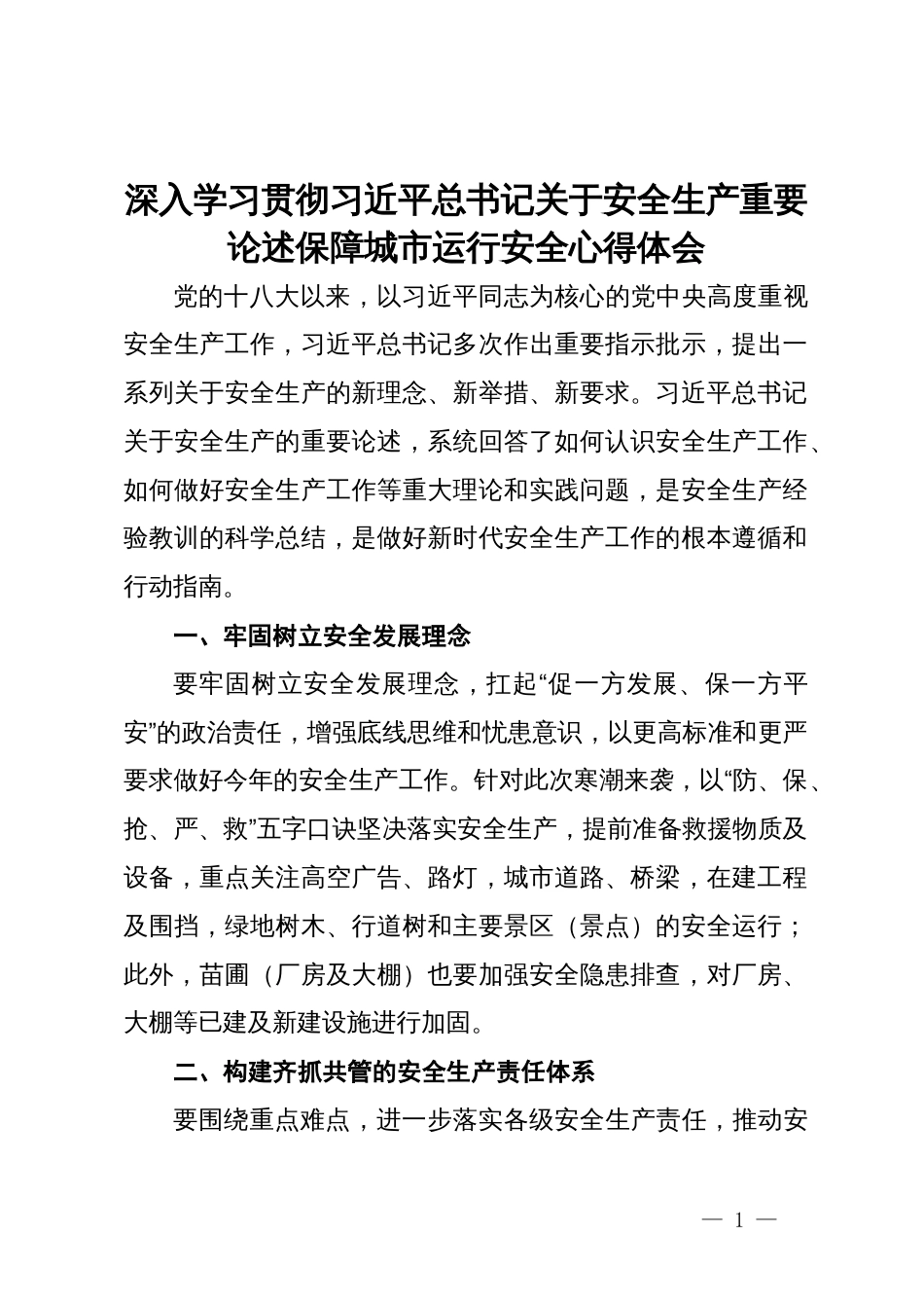 深入学习贯彻安全生产重要论述保障城市运行安全心得体会_第1页