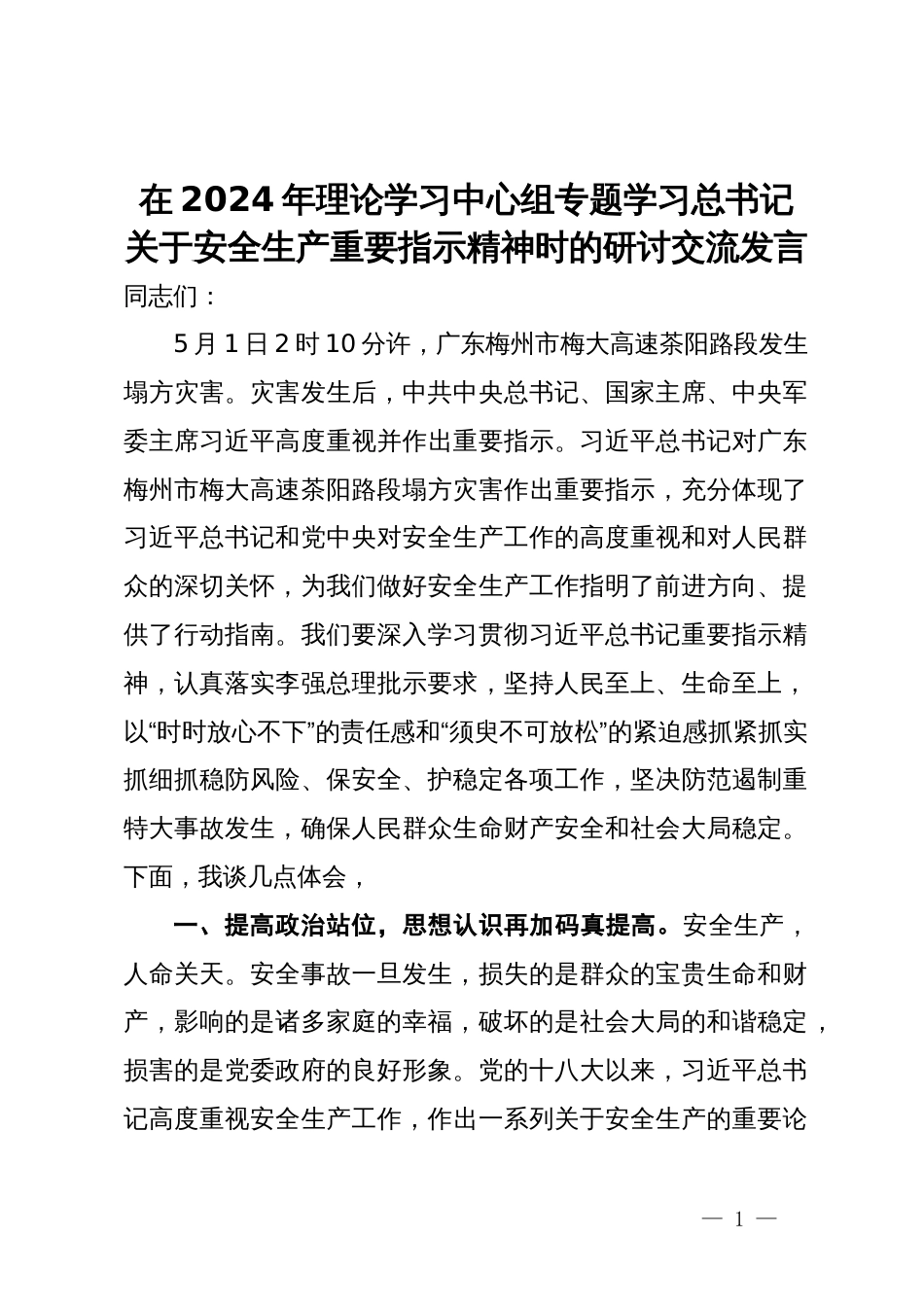 在2024年理论学习中心组专题学习总书记关于安全生产重要指示精神时的研讨交流发言_第1页