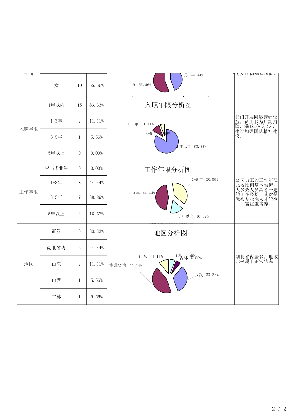 人力资源结构分析表_第2页