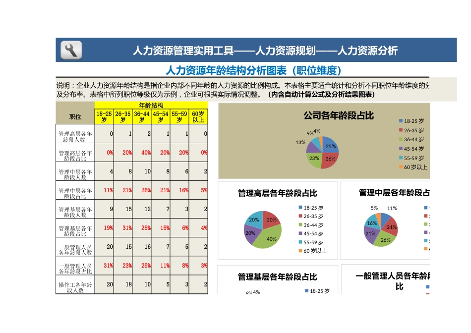 人力资源年龄结构分析(职位维度)_第3页