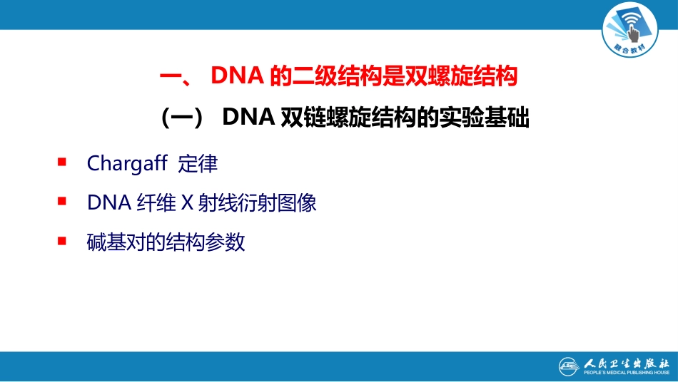 (1.1.5)--2.2第二章++第二节++DNA结构与功能_第3页
