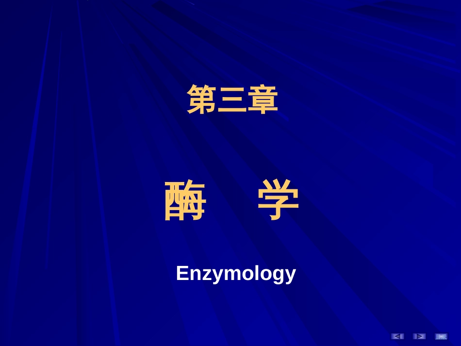 (1.1.13)--3 酶生物化学生物化学_第2页