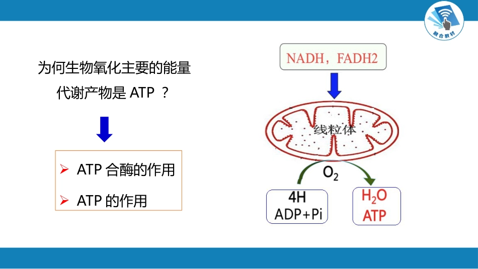 (1.1.25)--6.2第六章++生物氧化++第三~四节_第1页