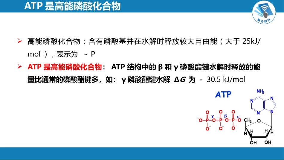 (1.1.25)--6.2第六章++生物氧化++第三~四节_第3页