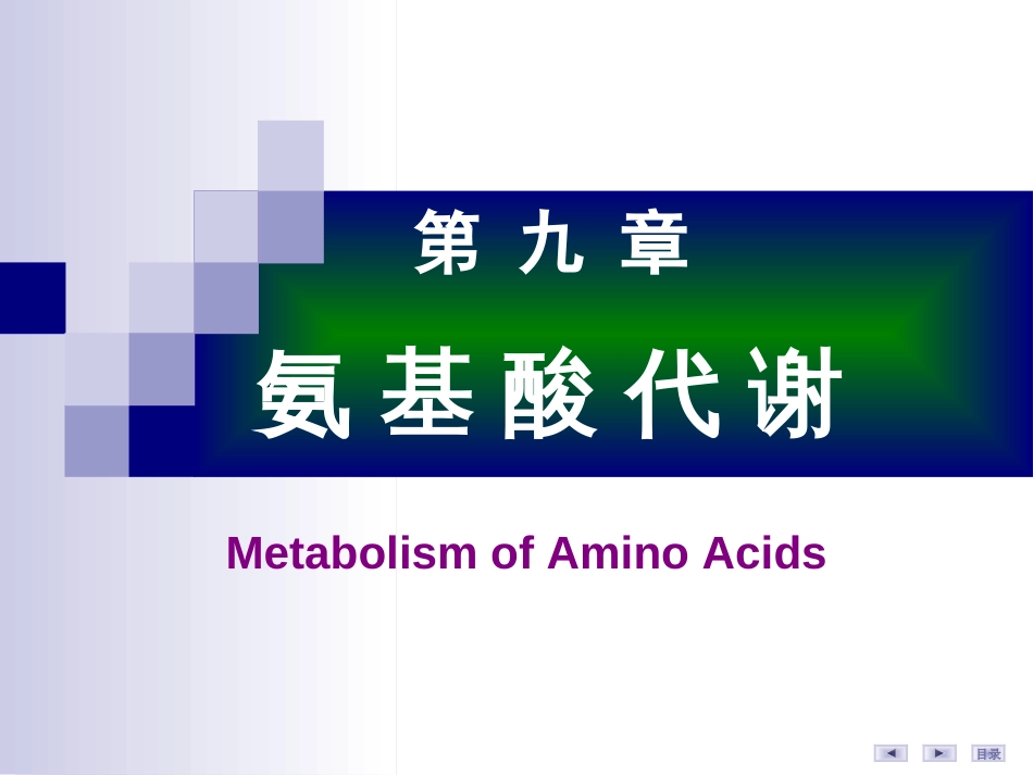 (1.1.39)--9 氨基酸代谢生物化学生物化学_第2页