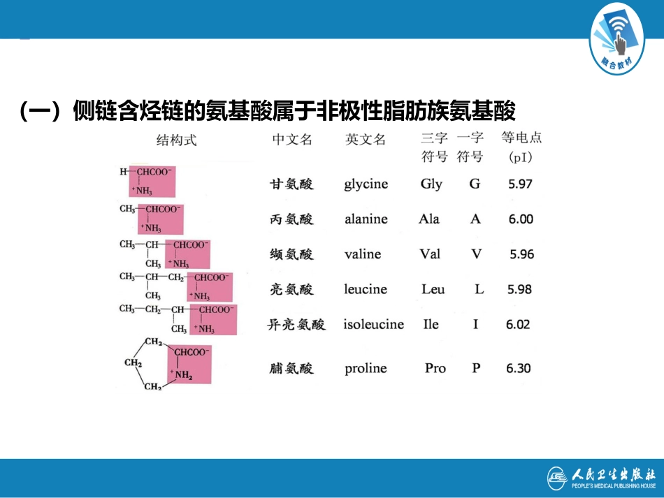 (1.1.39)--9 氨基酸代谢生物化学生物化学_第3页