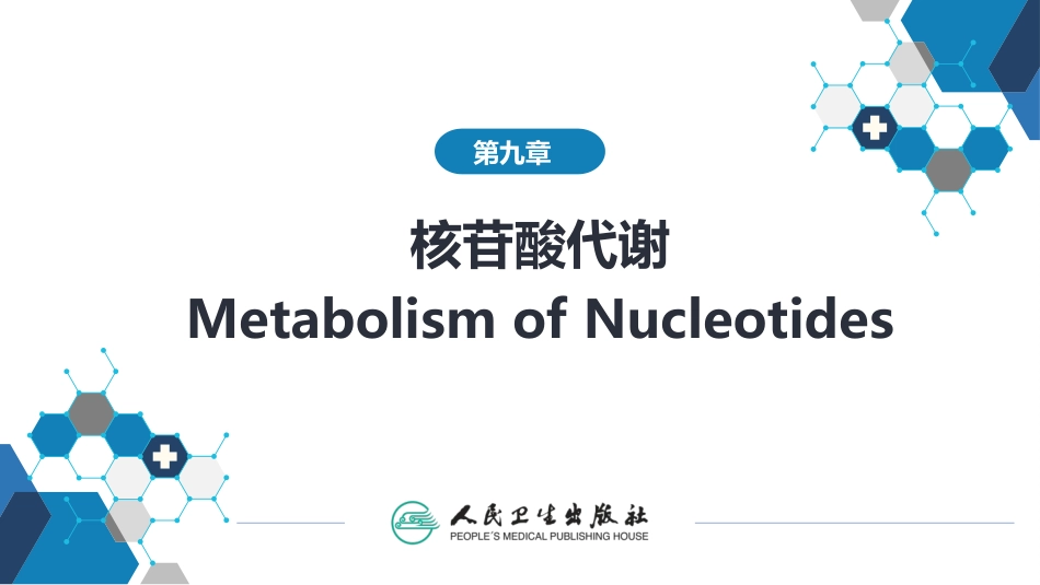 (1.1.43)--9第九章++核苷酸代谢_第1页