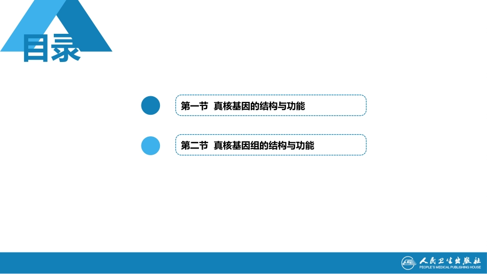 (1.1.47)--11第十一章++真核基因与基因组_第2页