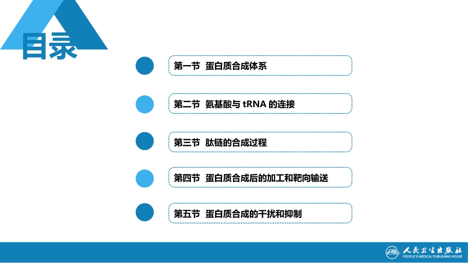 (1.1.55)--15第十五章++蛋白质的合成生物化学_第2页