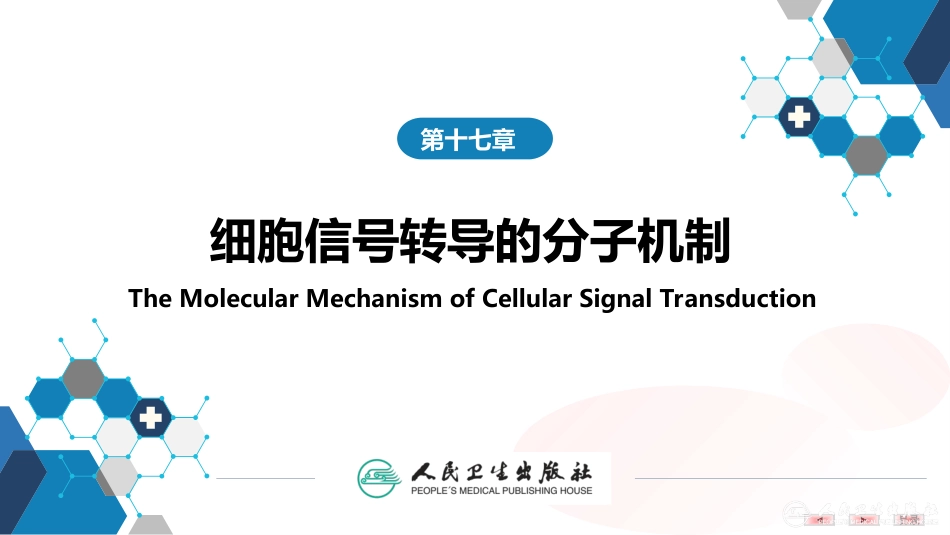 (1.1.59)--17第十七章++细胞信号转导的分子机制_第1页