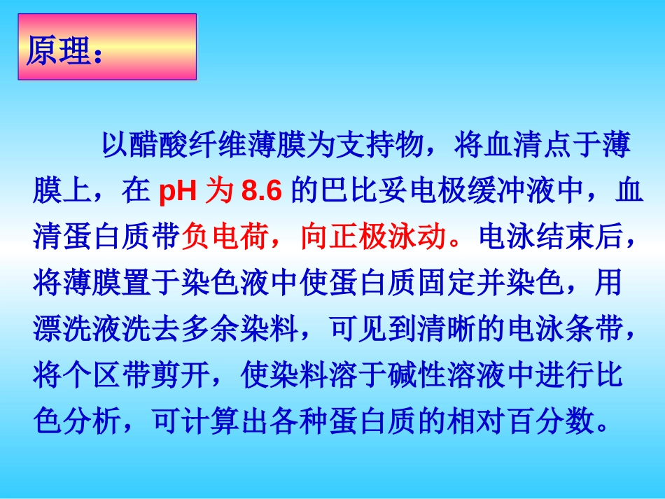 (1.4.1.11)--电泳（醋酸薄膜）生物化学生物化学_第3页