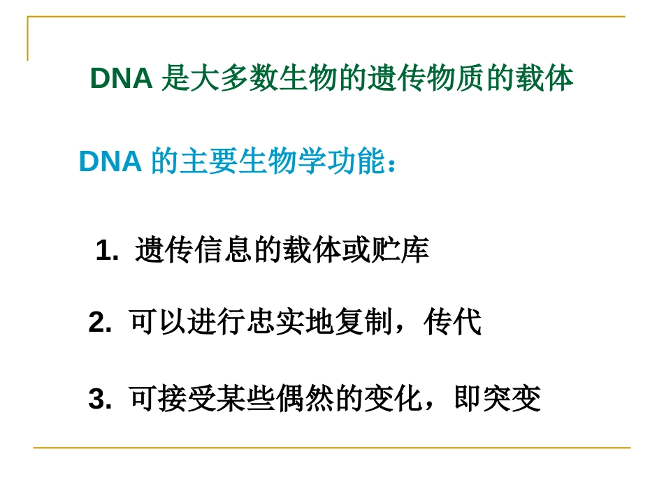 (3.10)--10第十章 DNA的生物合成_第2页