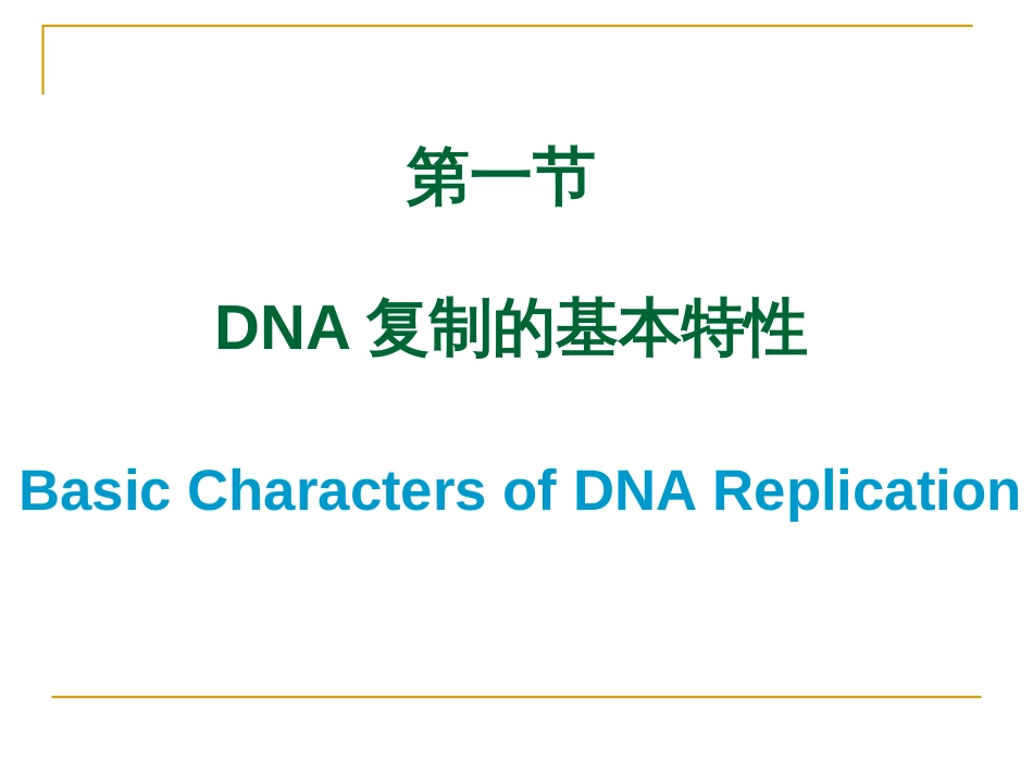 (3.10)--10第十章 DNA的生物合成_第3页