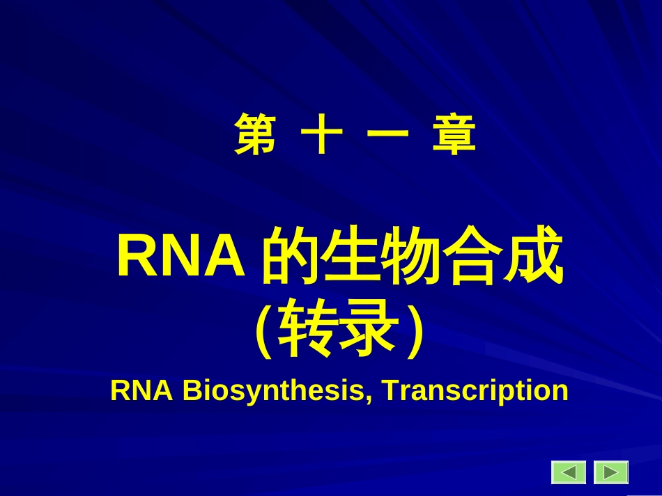 (3.11)--11第11章转录生物化学生物化学_第1页