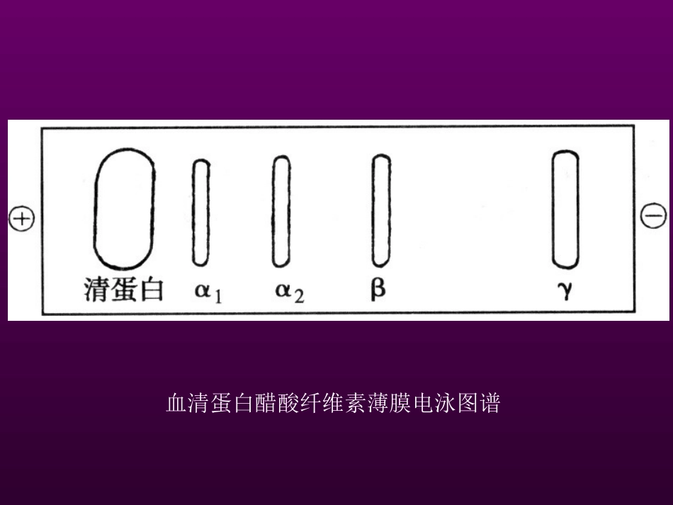 (3.15)--15第十五章 血液生化生物化学生物化学_第2页