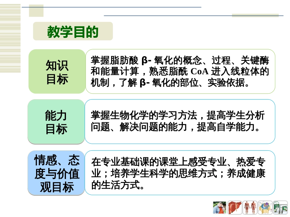 (4)--PPT：脂肪酸的β-氧化_第2页