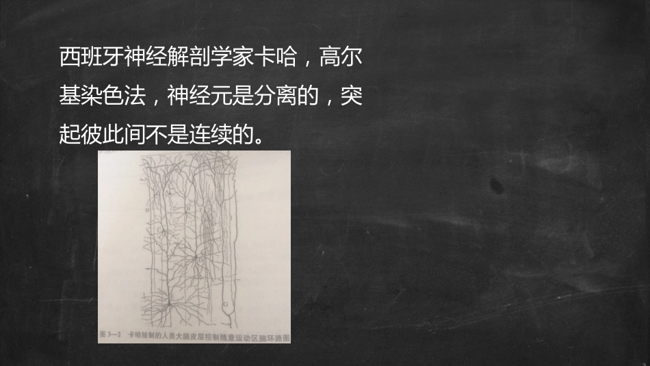 (4.4)--5.突触生理心理学_第3页