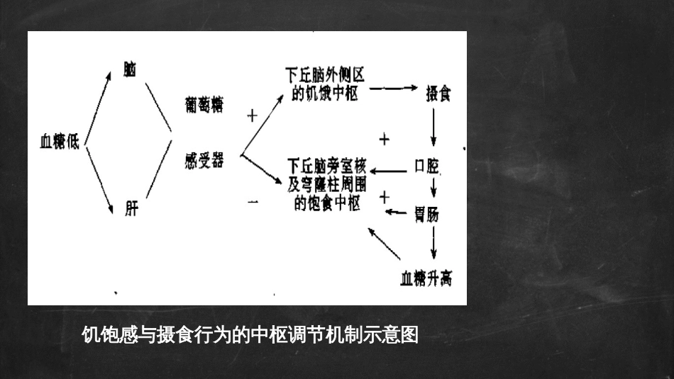 (4.19)--摄食过程的调节_第3页