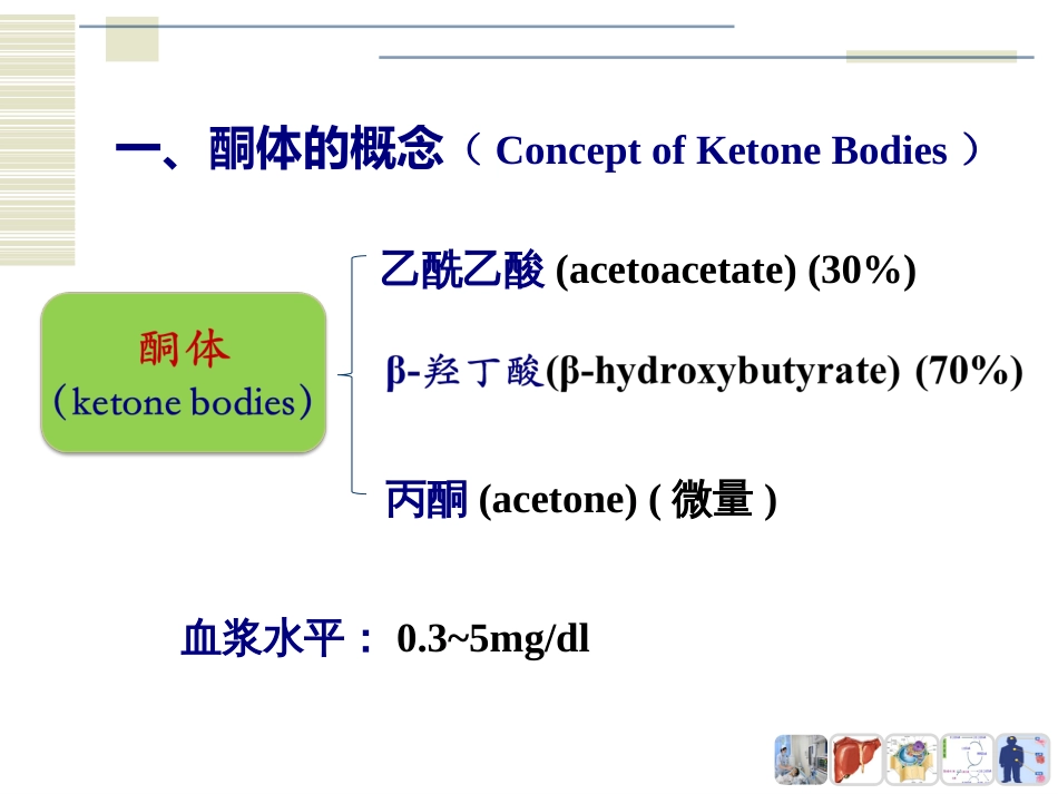 (6)--PPT：酮体的生成与利用_第3页