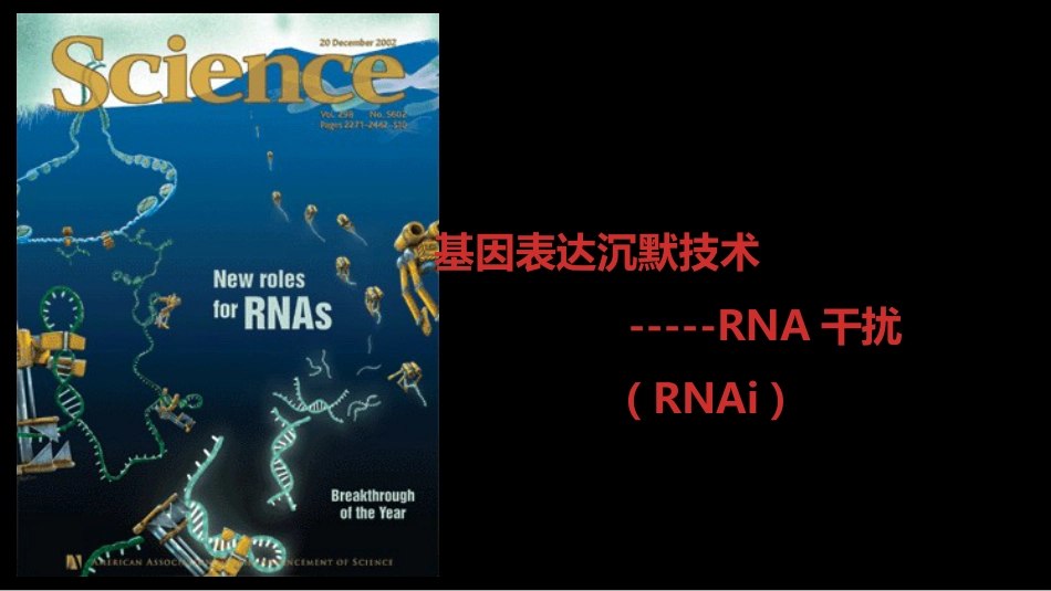 (7)--007基因表达沉默技术_第1页