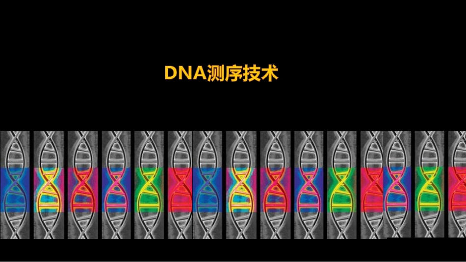 (8)--008 DNA测序技术身边的生物化学_第1页