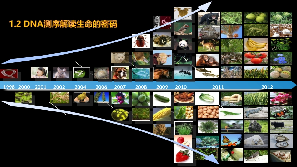 (8)--008 DNA测序技术身边的生物化学_第3页