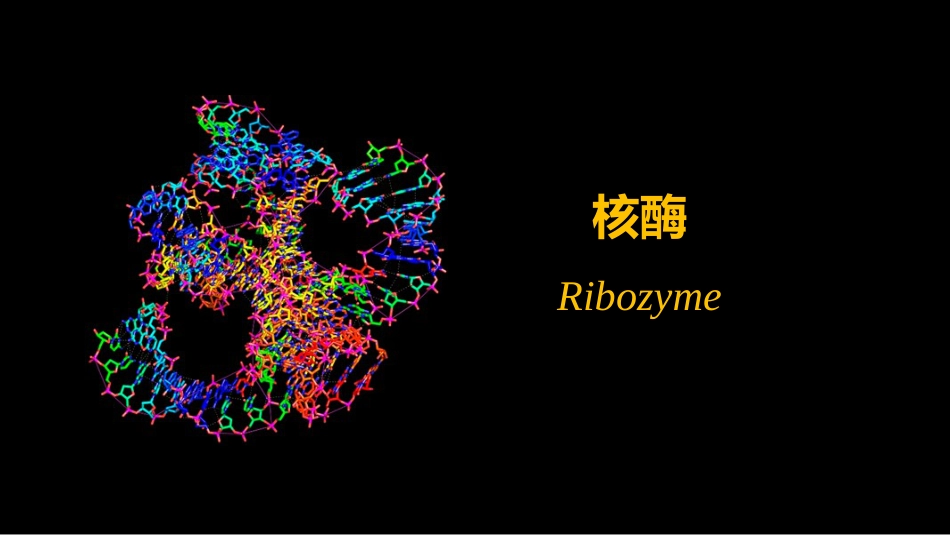 (9)--009核酶身边的生物化学_第1页