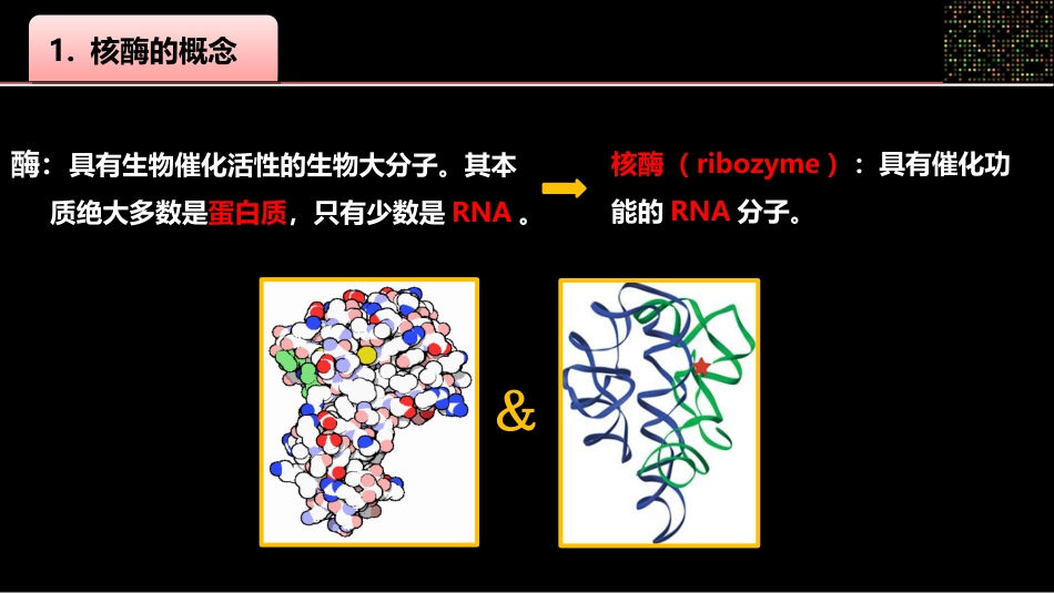 (9)--009核酶身边的生物化学_第2页