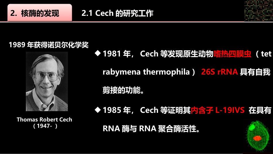 (9)--009核酶身边的生物化学_第3页