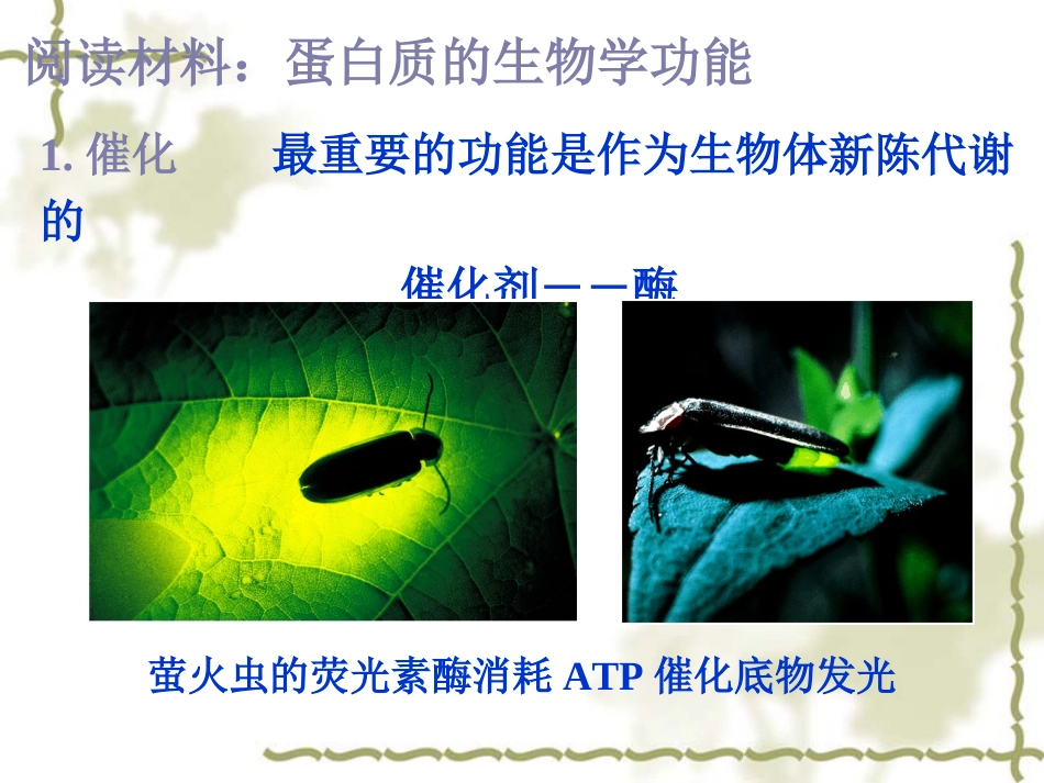 (10)--蛋白质阅读材料生物化学_第1页