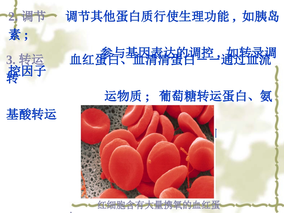 (10)--蛋白质阅读材料生物化学_第2页