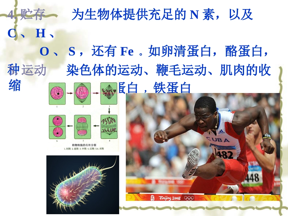 (10)--蛋白质阅读材料生物化学_第3页