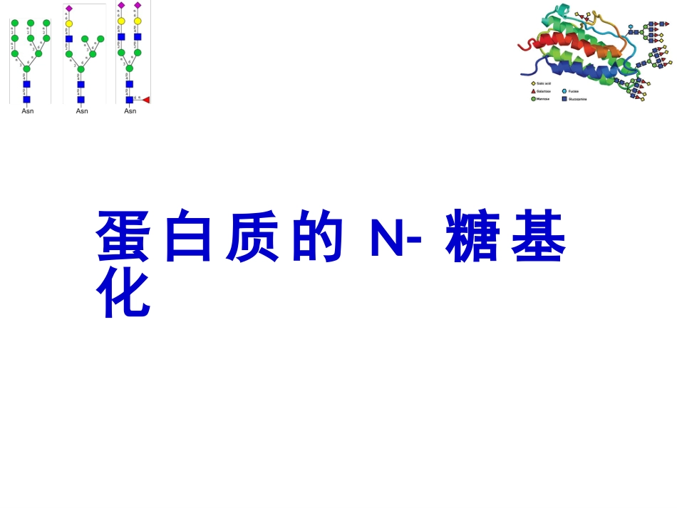 (13)--013蛋白质的N-糖基化 - 3_第1页