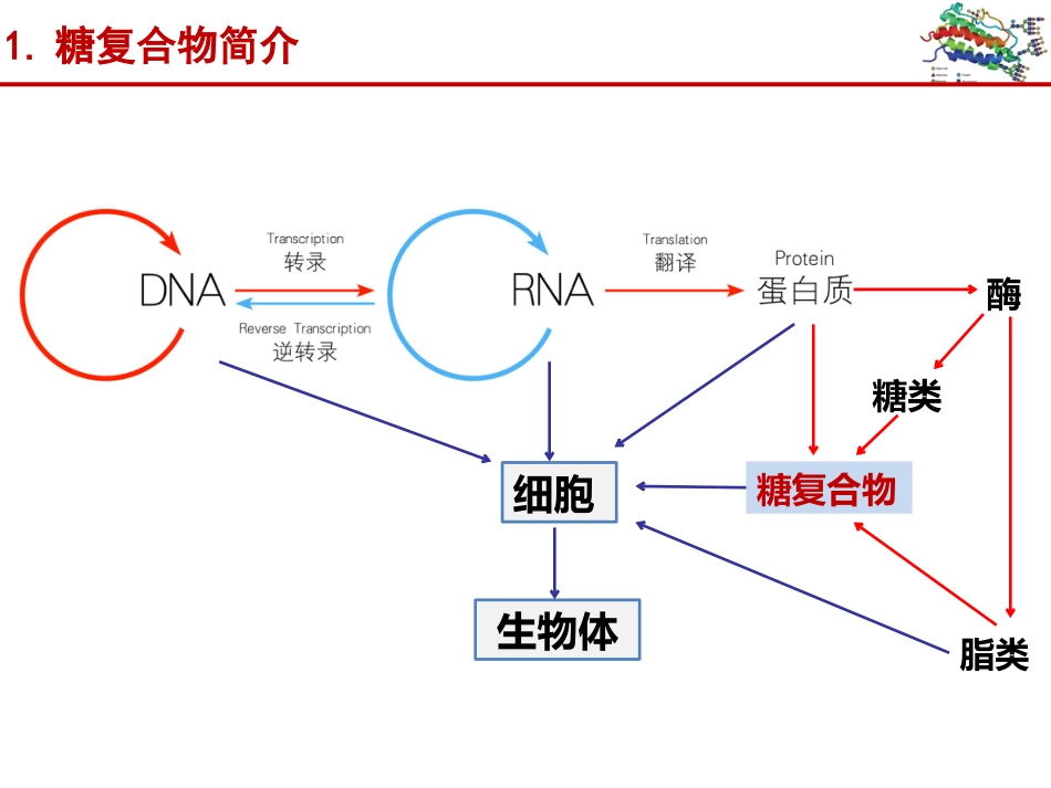 (13)--013蛋白质的N-糖基化 - 3_第2页