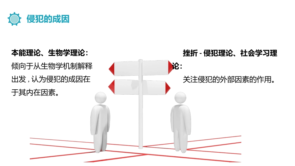 (13.3)--12.2.1侵犯行为的内在成因_第3页