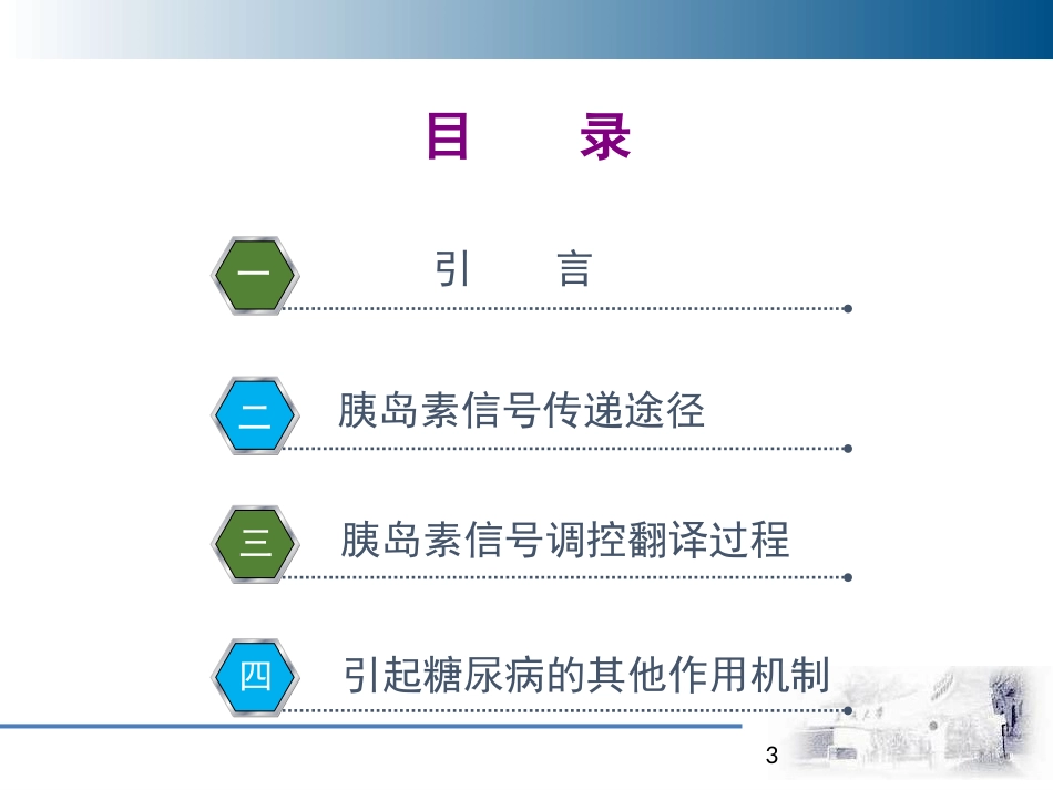 (17)--017胰岛素信号通路_第3页