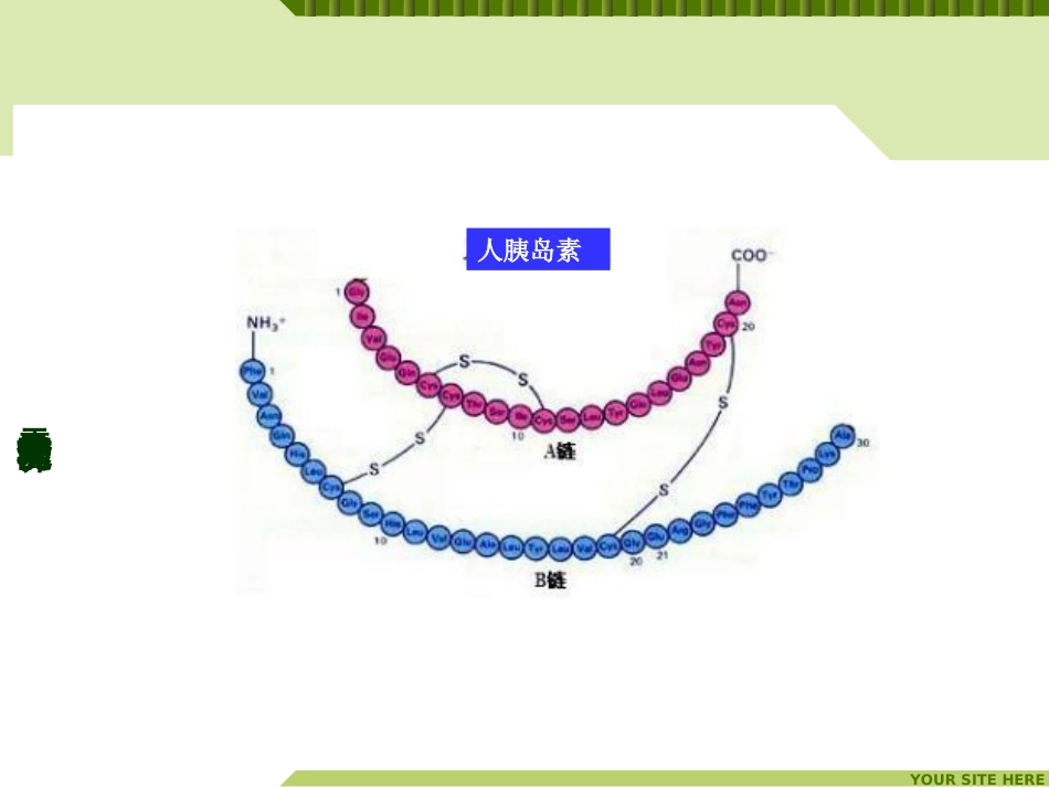 (20)--生命科学概论-元素分子功能与营养-肽键_第3页