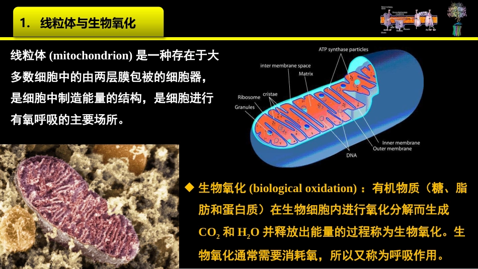 (23)--023_化学渗透假说身边的生物化学_第2页