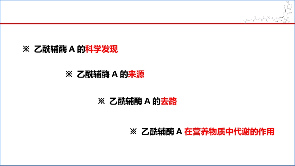 (25)--025物质代谢的关键分子---乙酰辅酶A_第2页