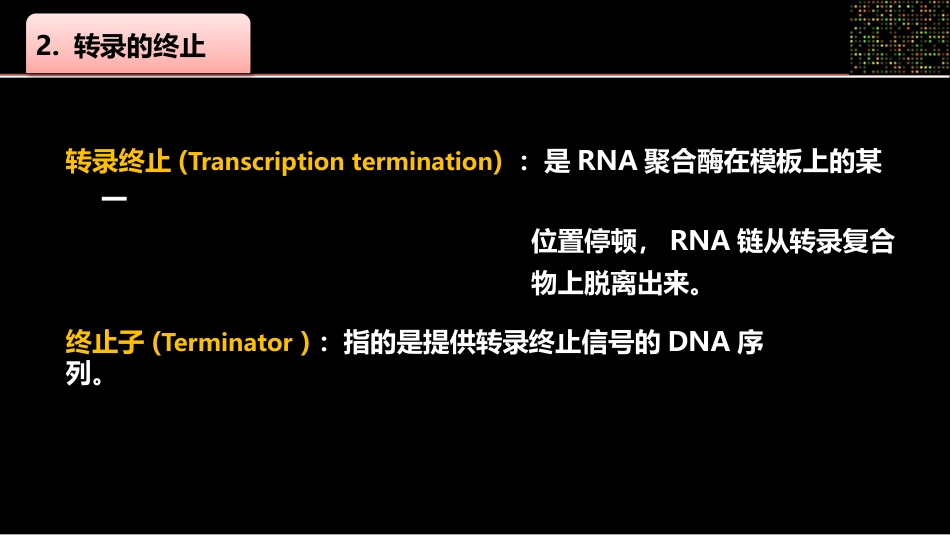 (28)--028原核生物转录终止机制_第3页