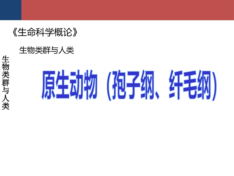 (29)--生命科学概论-生物类群与人类-原生动物（孢子纲、纤毛纲）_第1页